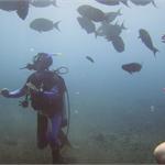 files\photos\0607_bali_diving\PIC_0011_1024.jpg