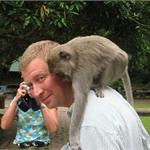 files\photos\0607_bali_monkeys\IMG_0663_1024.jpg