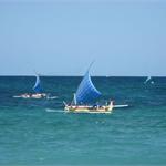 files\photos\0607_bali_nature\IMG_0515_1024.jpg