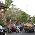 files\photos\0607_bali_people\IMG_0193_1024.jpg