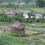 files\photos\0607_bali_people\IMG_0451_1024.jpg